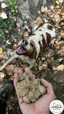 ALBA WHITE TRUFFLES