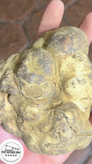 ALBA WHITE TRUFFLES