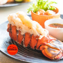 MAINE LOBSTER TAIL