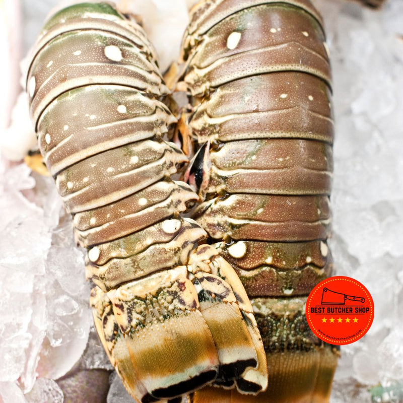 COLOSSAL LOBSTER TAIL