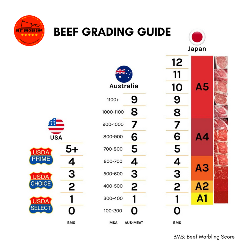 USDA CHOICE FILET MIGNON